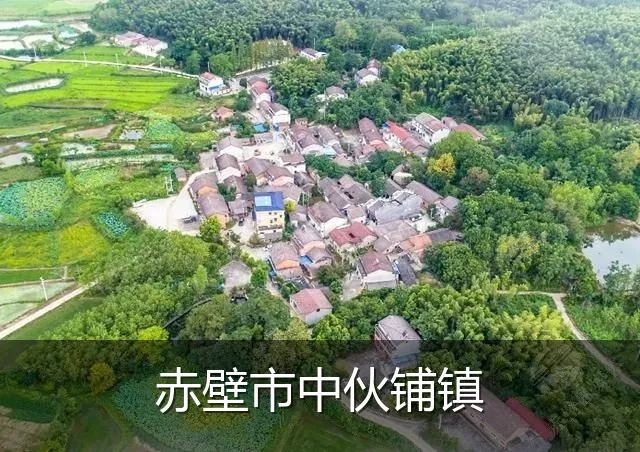 赤壁市中伙铺镇