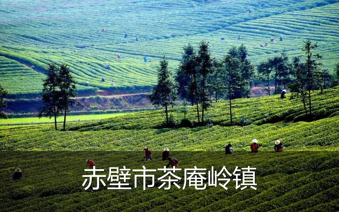 赤壁市茶庵岭镇