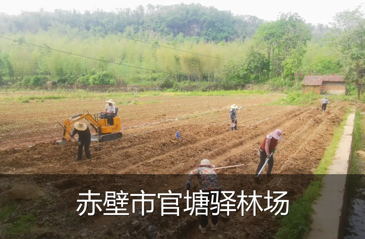 赤壁市官塘驿林场