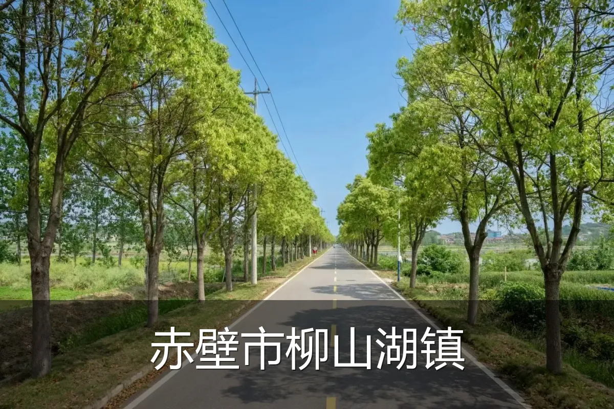 赤壁市柳山湖镇